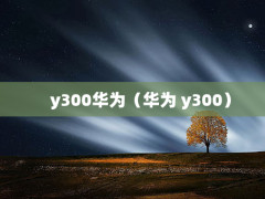 y300ΪΪ y300