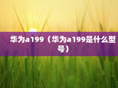 Ϊa199Ϊa199ʲôͺţ