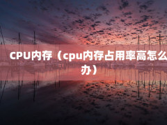 CPUڴ棨cpuڴռʸô죩