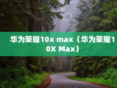 Ϊҫ10x maxΪҫ10X Max