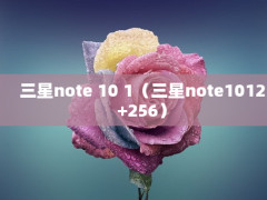 note 10 1note1012+256