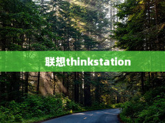 thinkstation