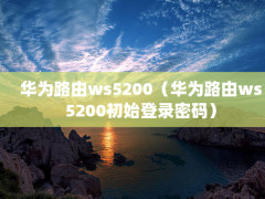 Ϊ·ws5200Ϊ·ws5200ʼ¼룩