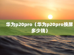 Ϊp20proΪp20proǮ