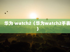 Ϊ watch2Ϊwatch2ֱ