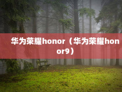 ΪҫhonorΪҫhonor9