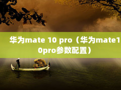 Ϊmate 10 proΪmate10proã