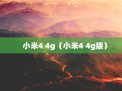 С4 4gС4 4g棩