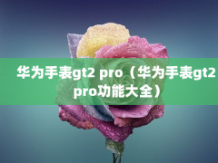 Ϊֱgt2 proΪֱgt2proܴȫ