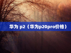 Ϊ p2Ϊp20pro۸