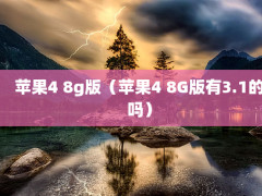 ƻ4 8g棨ƻ4 8G3.1