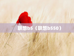 b5b550