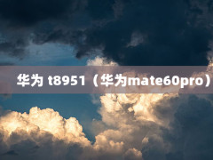 Ϊ t8951Ϊmate60pro