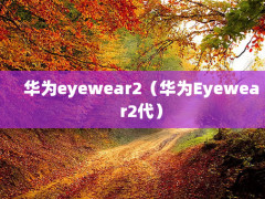 Ϊeyewear2ΪEyewear2