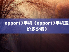 oppor17ֻoppor17ֻּ۶Ǯ