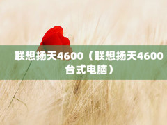 46004600̨ʽԣ