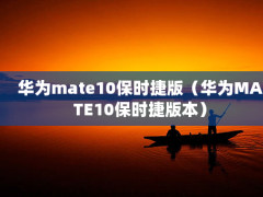 Ϊmate10ʱݰ棨ΪMATE10ʱݰ汾