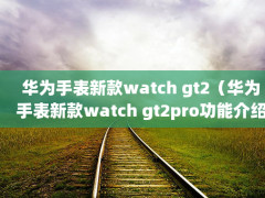 Ϊֱ¿watch gt2Ϊֱ¿watch gt2proܽܣ