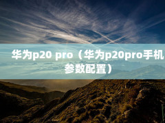 Ϊp20 proΪp20proֻã