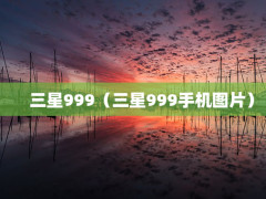 999999ֻͼƬ