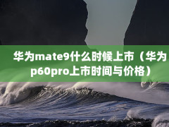 Ϊmate9ʲôʱУΪp60proʱ۸