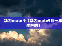 Ϊmate 9Ϊmate9һģ