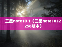 note10 1note1012256汾