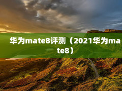 Ϊmate8⣨2021Ϊmate8