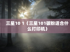 10 1101̼ʺʲôӡ