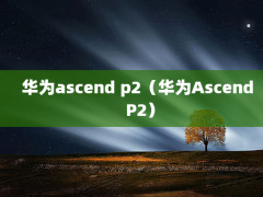 Ϊascend p2ΪAscend P2