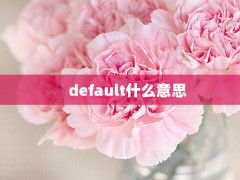 defaultʲô˼