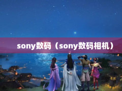 sony루sony