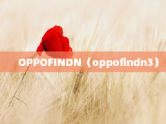 OPPOFINDNoppofindn3