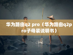 Ϊ·q2 proΪ·q2proĸװ˵飩