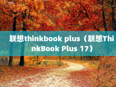 thinkbook plusThinkBook Plus 17