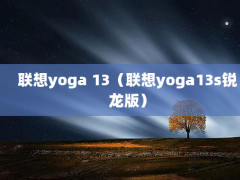 yoga 13yoga13s棩