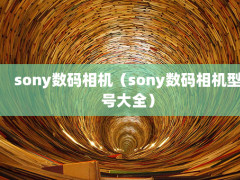 sonysonyͺŴȫ