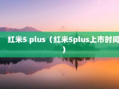 5 plus5plusʱ䣩