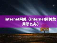 internetأinternetؽô죩