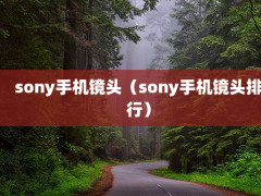 sonyֻͷsonyֻͷУ