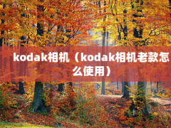 kodakkodakϿôʹã