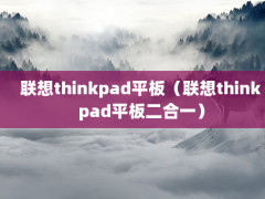 thinkpadƽ壨thinkpadƽһ