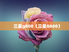 g800G800