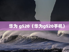 Ϊ g520Ϊg520ֻ