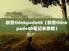 thinkpade40thinkpade40ʼǱ