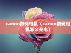 canoncanonô磩