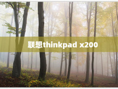 thinkpad x200