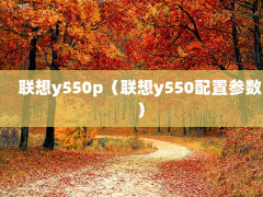 y550py550ò