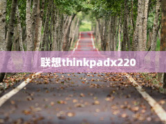 thinkpadx220