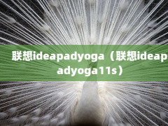 ideapadyogaideapadyoga11s